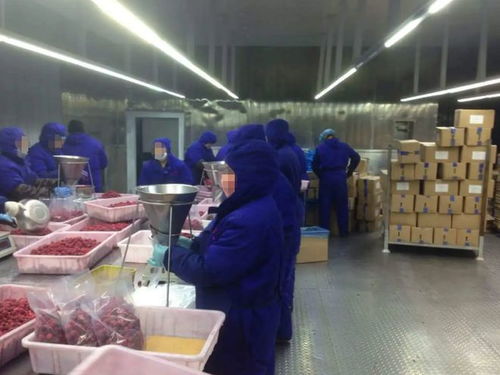 百元聚梦想，汗水酿甘甜 一筐水果背后的创业故事